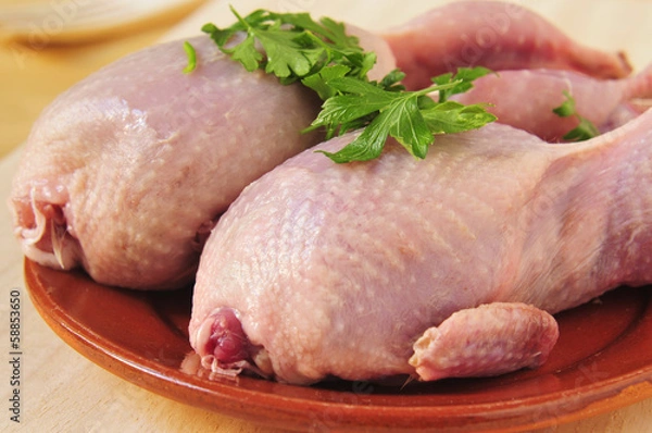 Obraz plucked quails