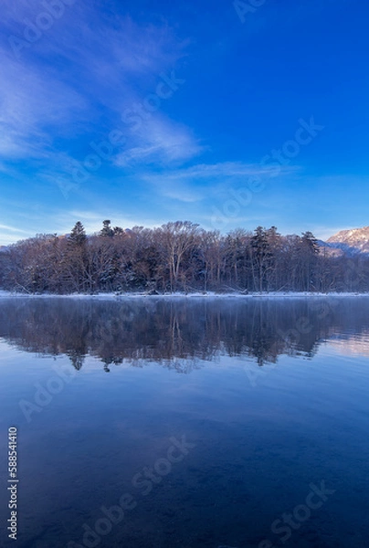 Fototapeta 湖畔の森の木々と空を水面に反射する湖。日本の北海道の屈斜路湖。