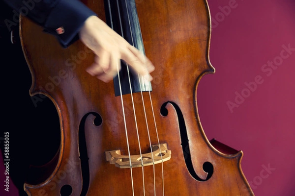 Obraz Double bass player