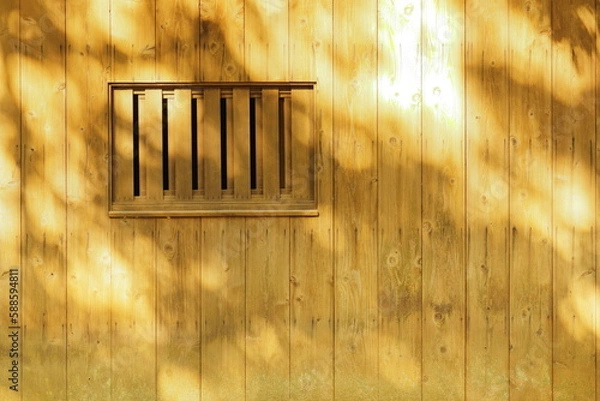 Fototapeta 壁に映す木漏れ日