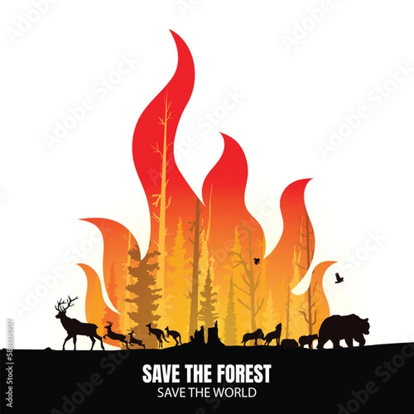 Obraz Wildfire silhouettes background, Forest fire vector