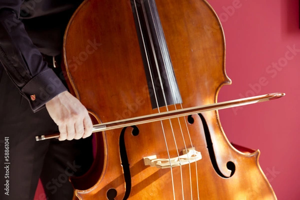 Obraz Double bass player