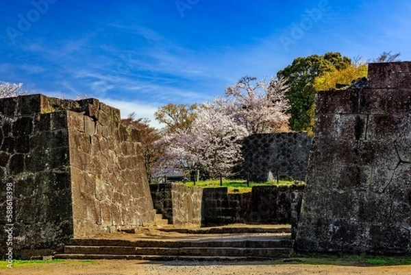 Obraz 岡城址の桜