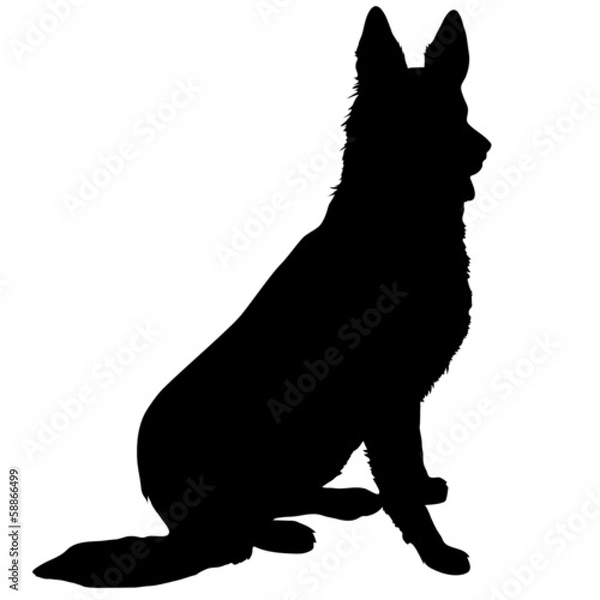 Obraz German Shepherd Silhouette