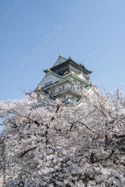 Obraz Osaka Castle