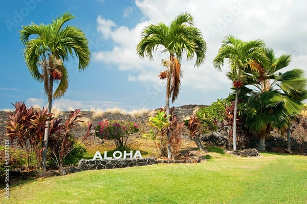 Fototapeta Aloha sign with palm trees on Big Island Hawaii