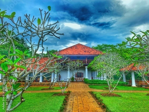 Fototapeta uga Scape