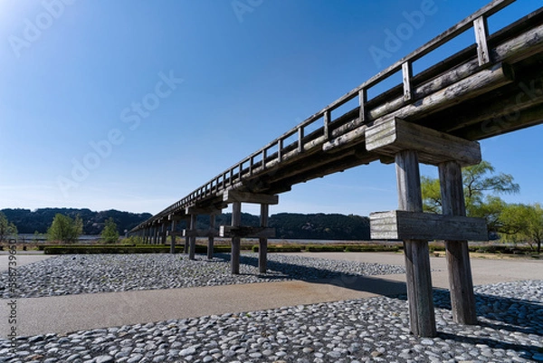 Obraz 大井川の蓬莱橋