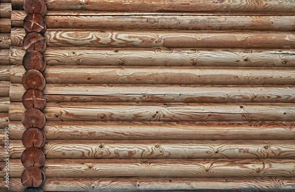 Obraz Log wall.
