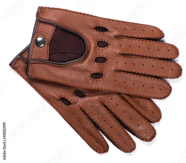 Obraz race gloves