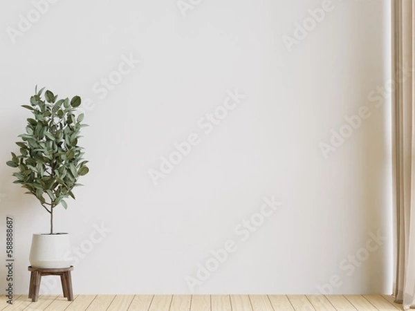 Fototapeta big white living room.interior design,woodedn floor, tree,empty wall for mock up and copy space..