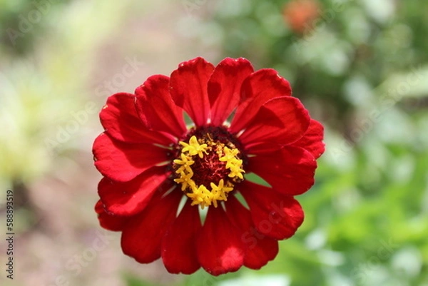 Obraz Nature April 2