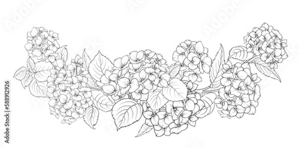 Obraz Black silhouette of a garland of hydrangeas flowers. Vector illustration on white background.