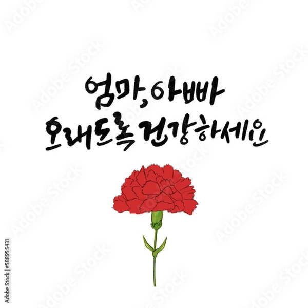 Fototapeta 가정의달,감사,감사장,감사인사,카네이션
