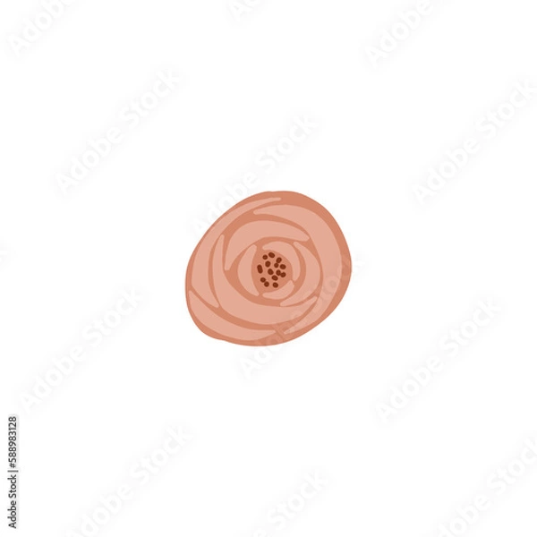 Obraz Floral Illustration