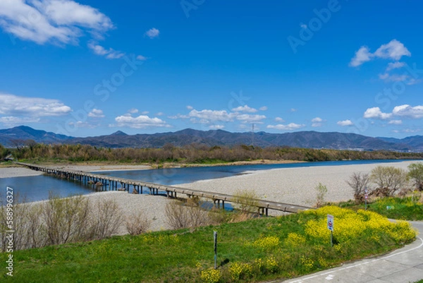 Obraz 吉野川(川島潜水橋)　徳島県吉野川市～阿波市