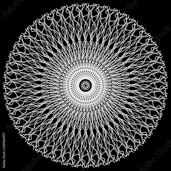 Fototapeta Circular pattern in form of mandala ornament with flower for Henna, Mehndi, tattoo, mandala in ethnic oriental style 