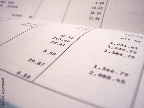 Obraz Bank Statement