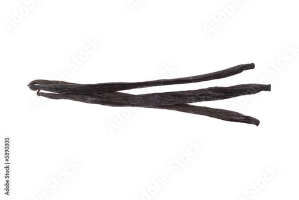 Fototapeta Aromatic vanilla beans