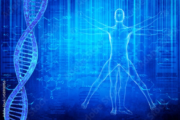 Obraz DNA molecules and virtuvian man