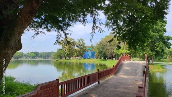 Fototapeta 公園を散歩する