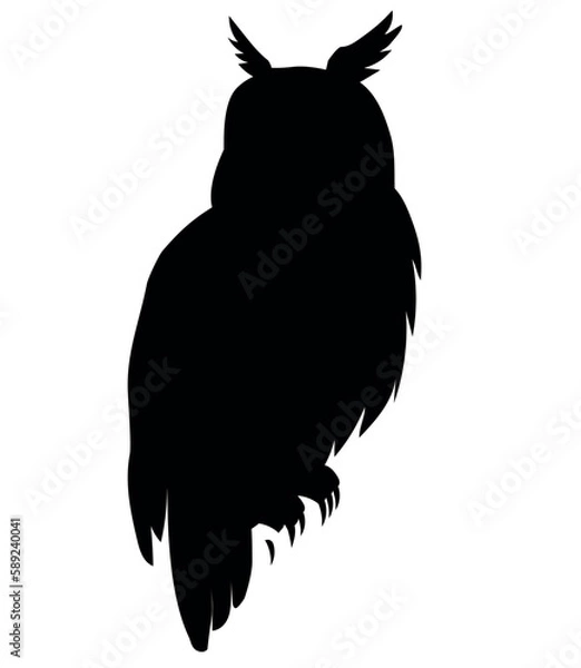 Obraz owl sitting vector silhouette black one