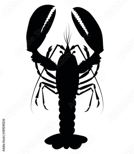 Obraz crayfish vertical vector silhouette black one