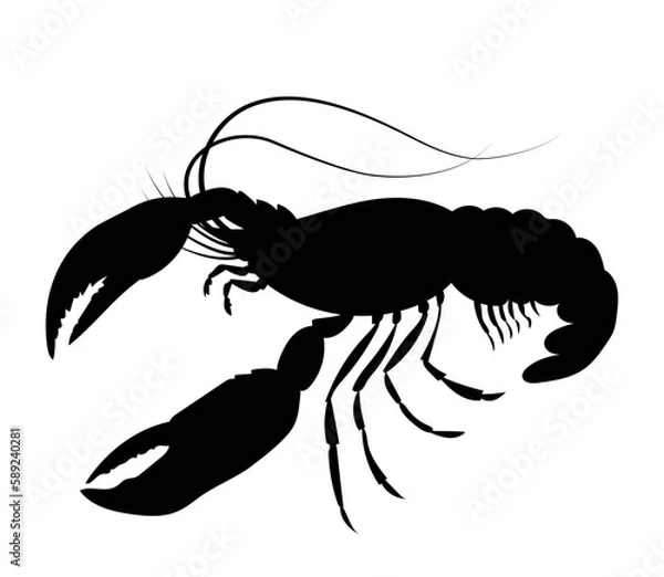 Obraz crayfish horizontal vector silhouette black one