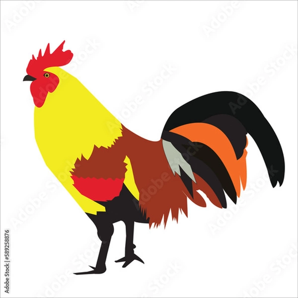 Obraz rooster and hen