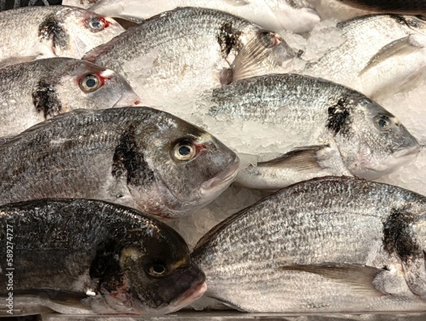 Fototapeta Dorado fish on a counter with ice close-up