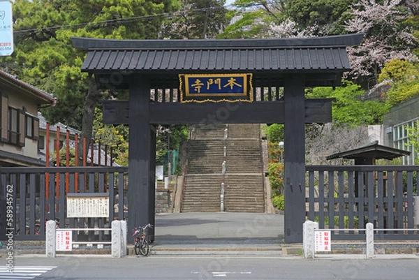 Obraz 池上本門寺　総門