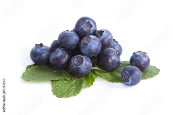 Obraz Blueberry on mint