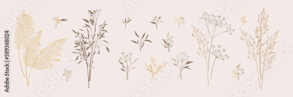 Fototapeta Collection of bouquets of wild herbs. Botanical set with dried grasses. Neutral tones. Vector illustration. Sketch style.