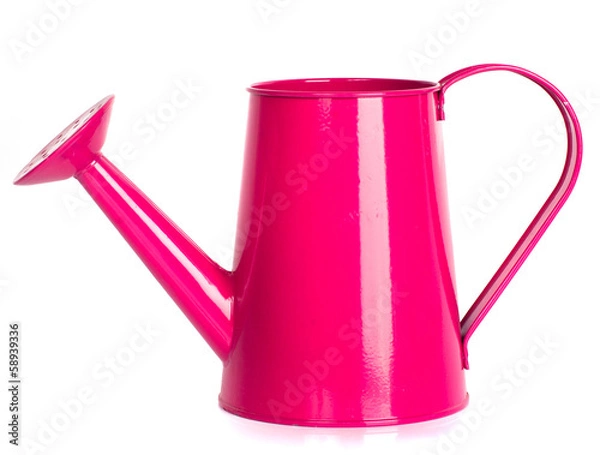 Obraz Pink watering can