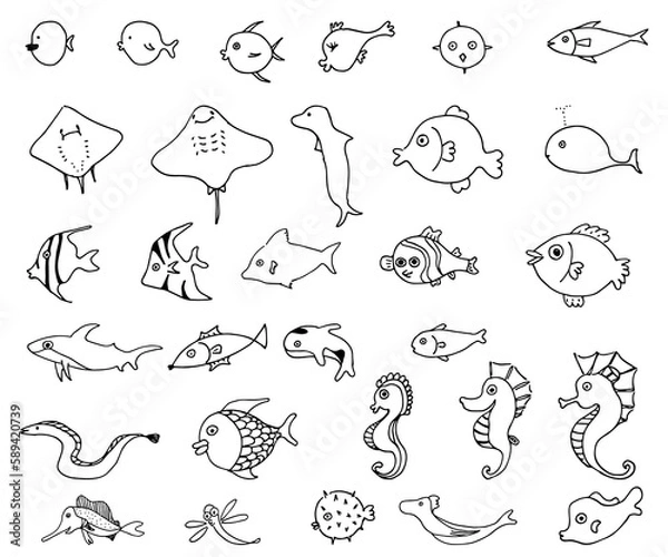 Fototapeta 바다 또는 민물에 사는 물고기들