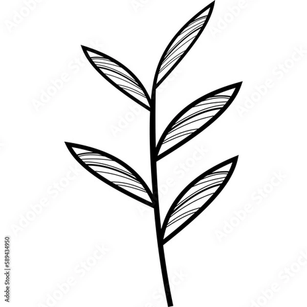 Fototapeta Boho Leaft