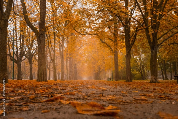 Obraz Autumn, Vienna