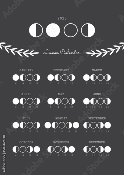 Fototapeta Lunar Calendar 2023, Moon Phases 2023 Vector Illustration with Plants