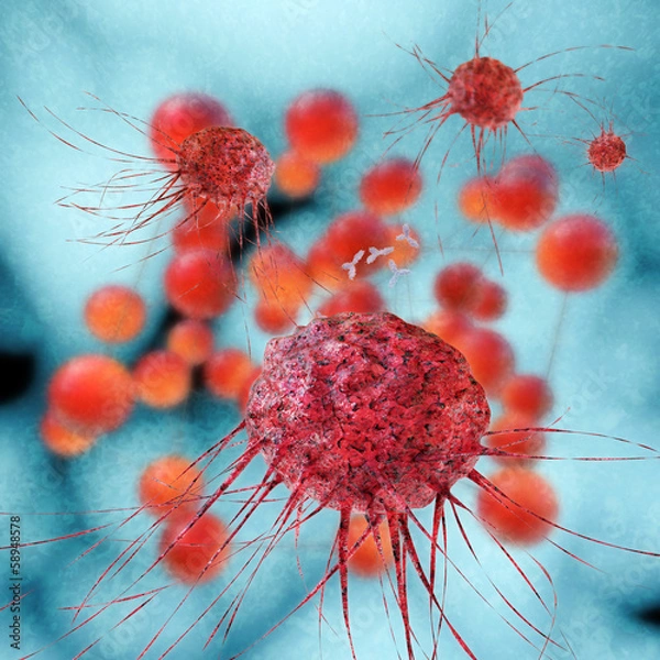 Obraz Cancer cells - 3d Rendering