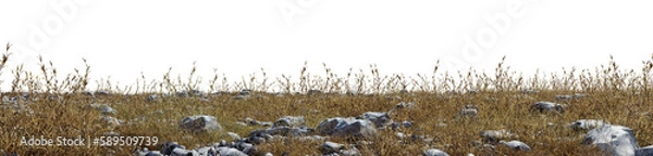 Fototapeta various stones, between which grass grows on a transparent background - 3d Illustration