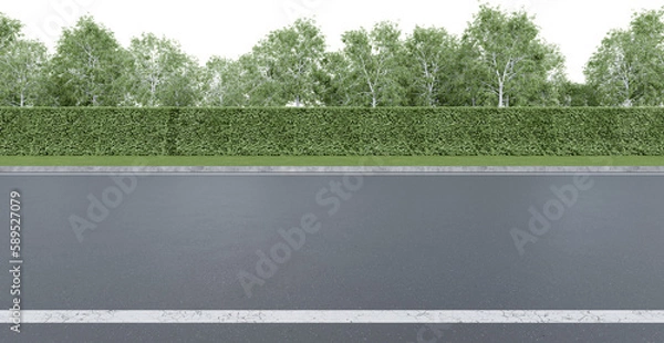 Fototapeta Realistic road side with hedge and tree. 3d rendering of isolated objects.