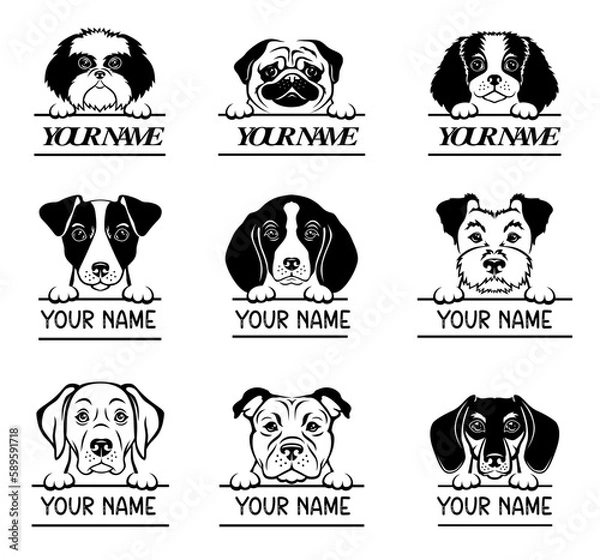 Obraz Peeking face dog. Breeds of dogs. Set of dog monogram with space for text. Name sign for pets