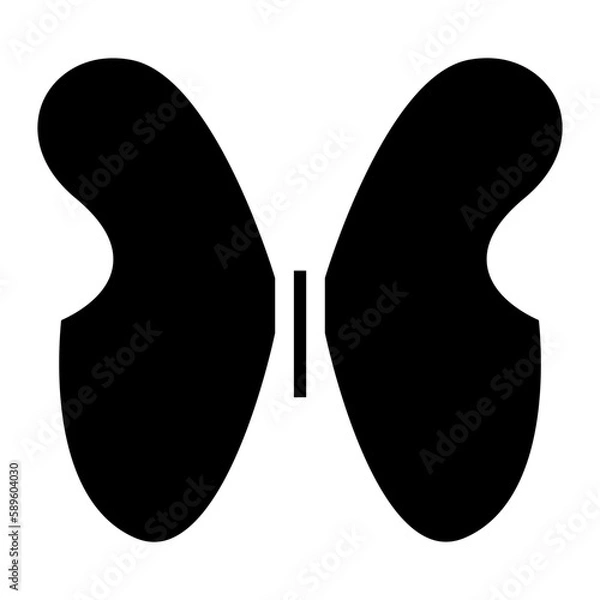 Obraz butterfly