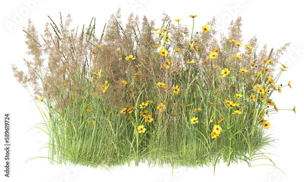 Fototapeta Various types of flowers grass bushes shrub and small plants isolated