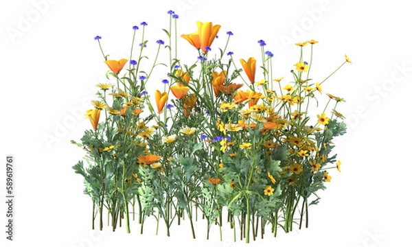 Fototapeta Various types of flowers grass bushes shrub and small plants isolated