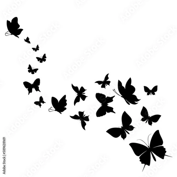 Fototapeta Abstract butterfly3
