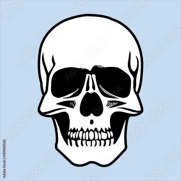 Fototapeta  A Beautiful and Eye catching Skull Line Art in Black and white