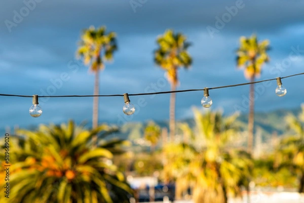 Fototapeta string lights and palm trees at sunset