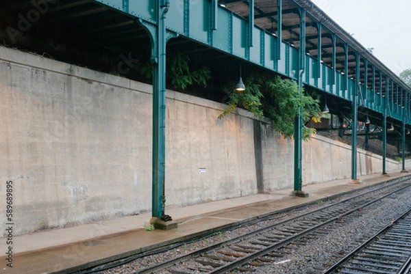 Fototapeta Plants Pushing Over Train Tracks