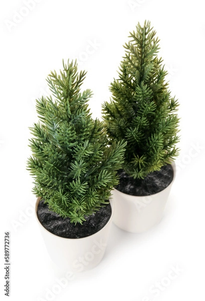 Obraz Artificial plants on white background